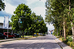 Orgelpfeifer Trostberg Bauausschuss Albert Frank Straße Teaser