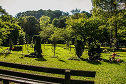 Orgelpfeifer Trostberg Friedhof Baumbestattung Teaser