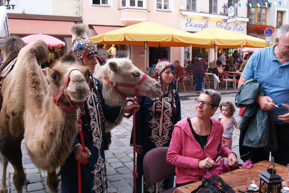Kamele beim orientalischen Bazar